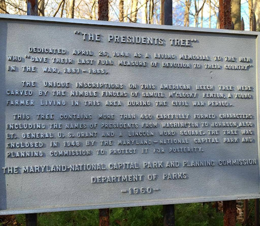 The Presidents Tree
