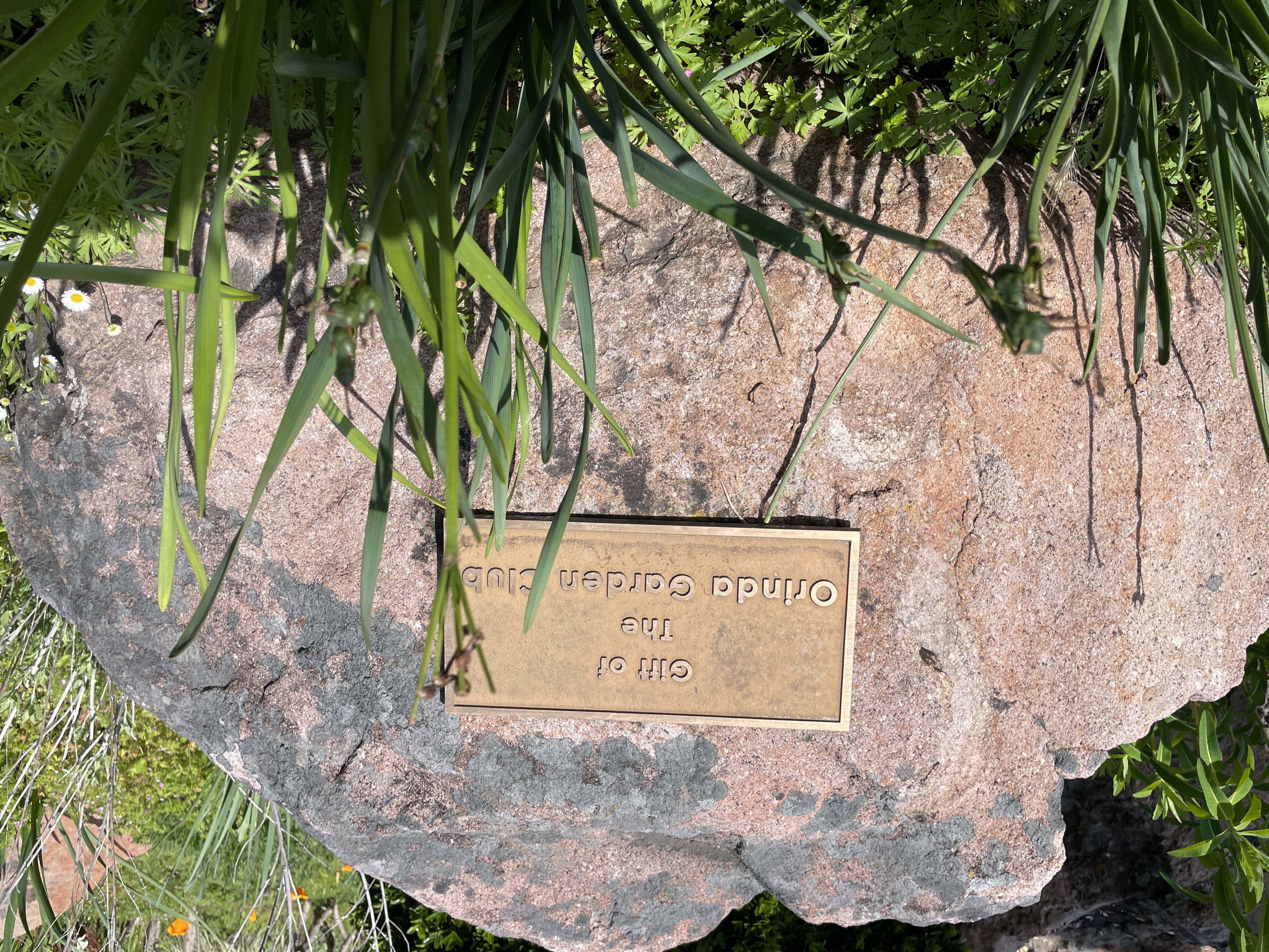 Gift of the Orinda Garden Club