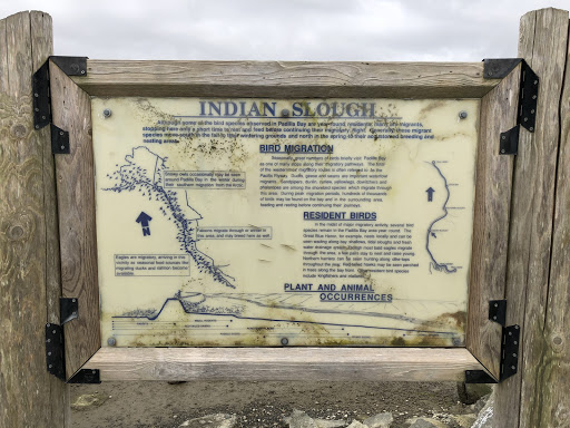 Indian Slough