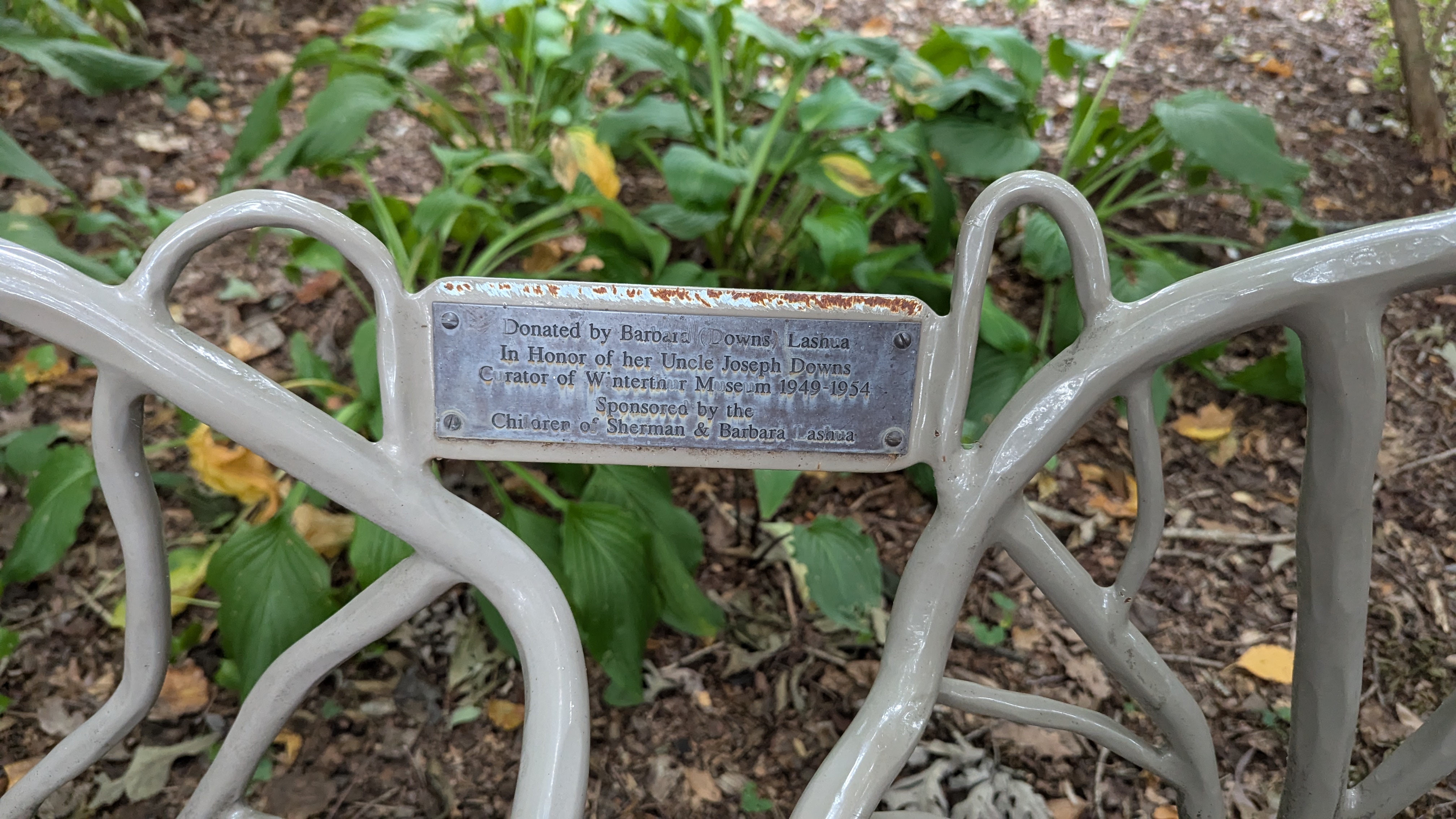 In Honor of Joseph Downs