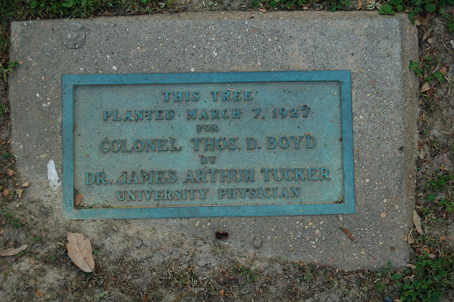 Colonel Thos. D. Boyd Tree