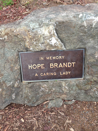 A Caring Lady