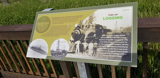 Timber and Logging