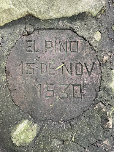 El Pino 15 de Nov 1530