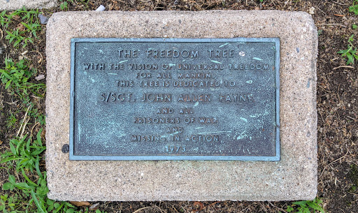 The Freedom Tree - John Allen Payne