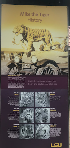 Mike the Tiger - History