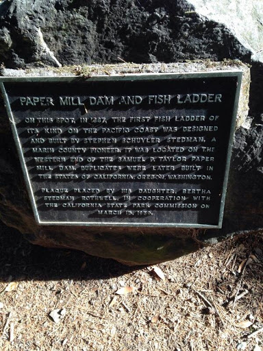 Paper Mill Dam and Fish Ladder