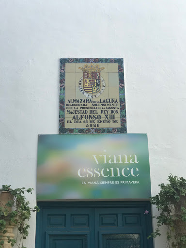 Almazara de la Laguna