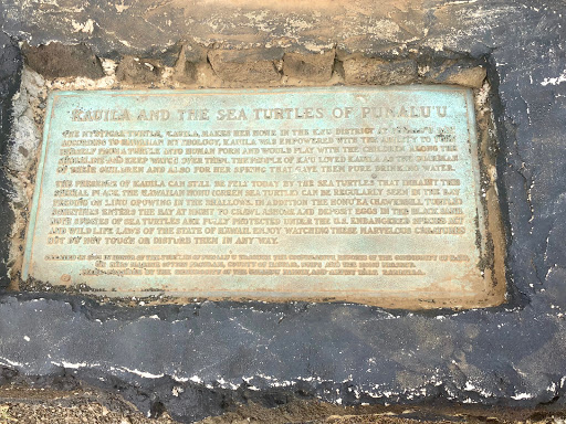 Kauila and the Sea Turtles of Punaluu