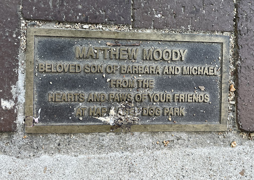 Matthew Moody