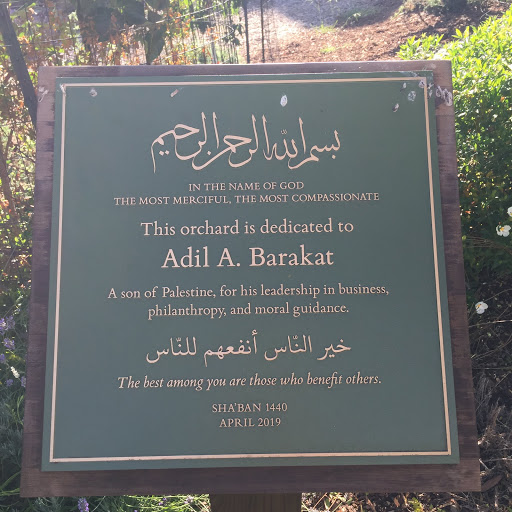 Adil A. Barakat