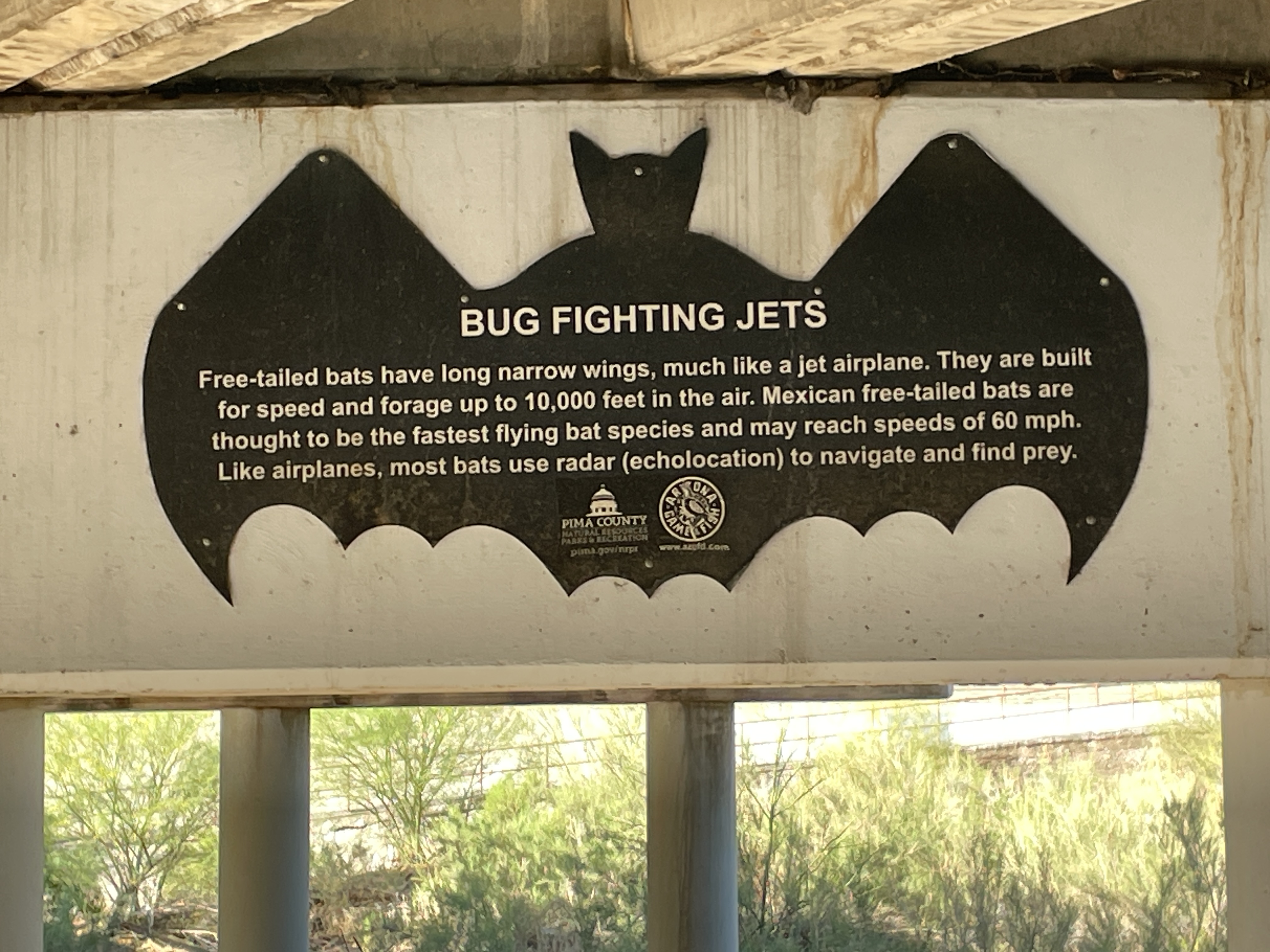 Bug Fighting Jets