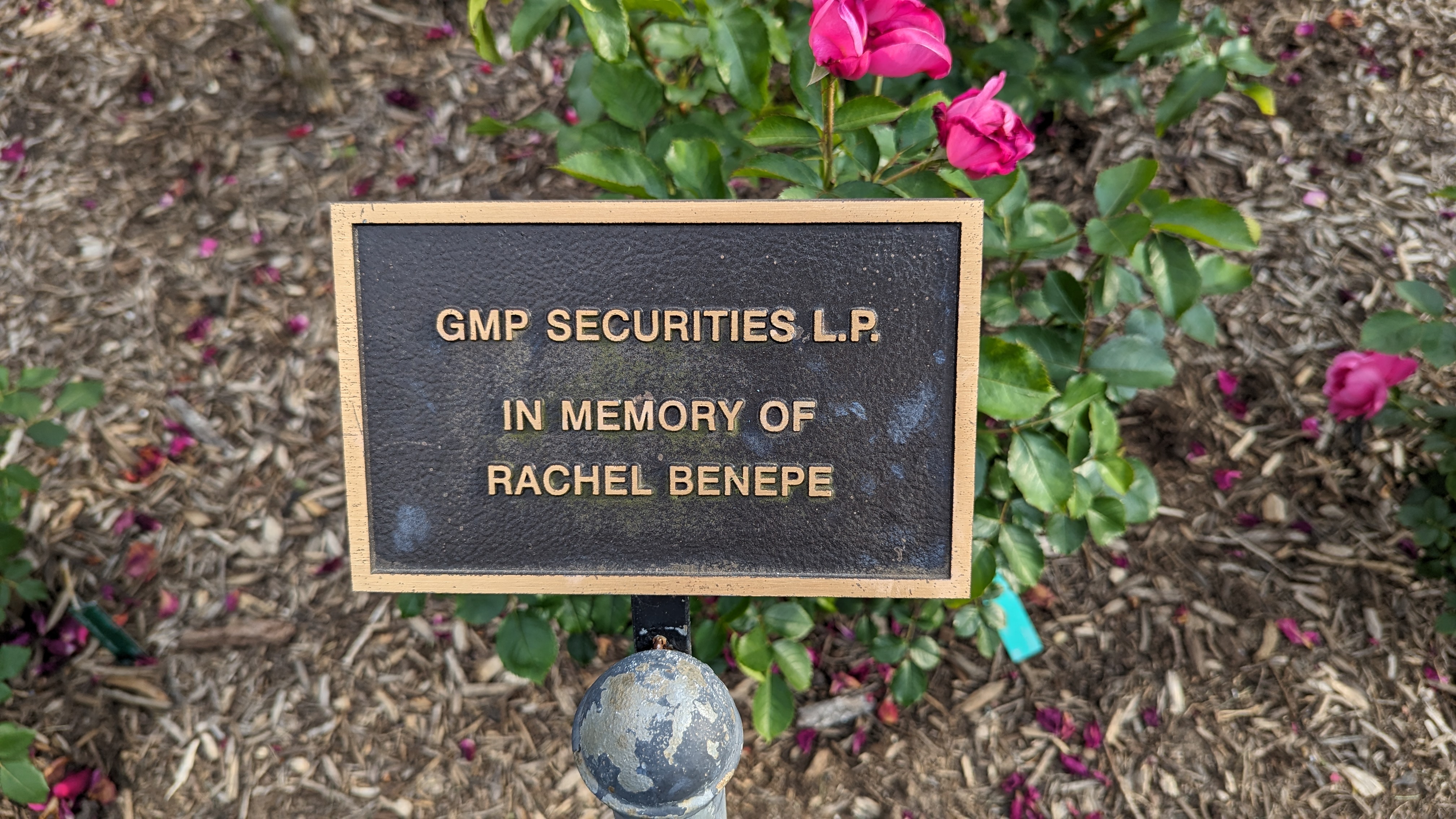 Rachel Benepe