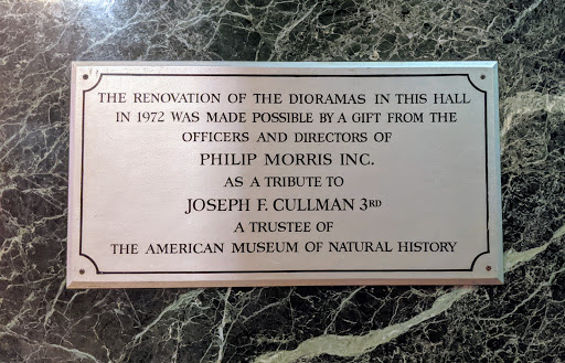American Museum of Natural History, Akeley Hall - 1972 Renovation