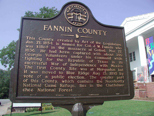 Fannin County