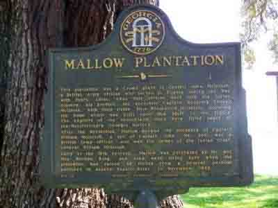 Mallow Plantation