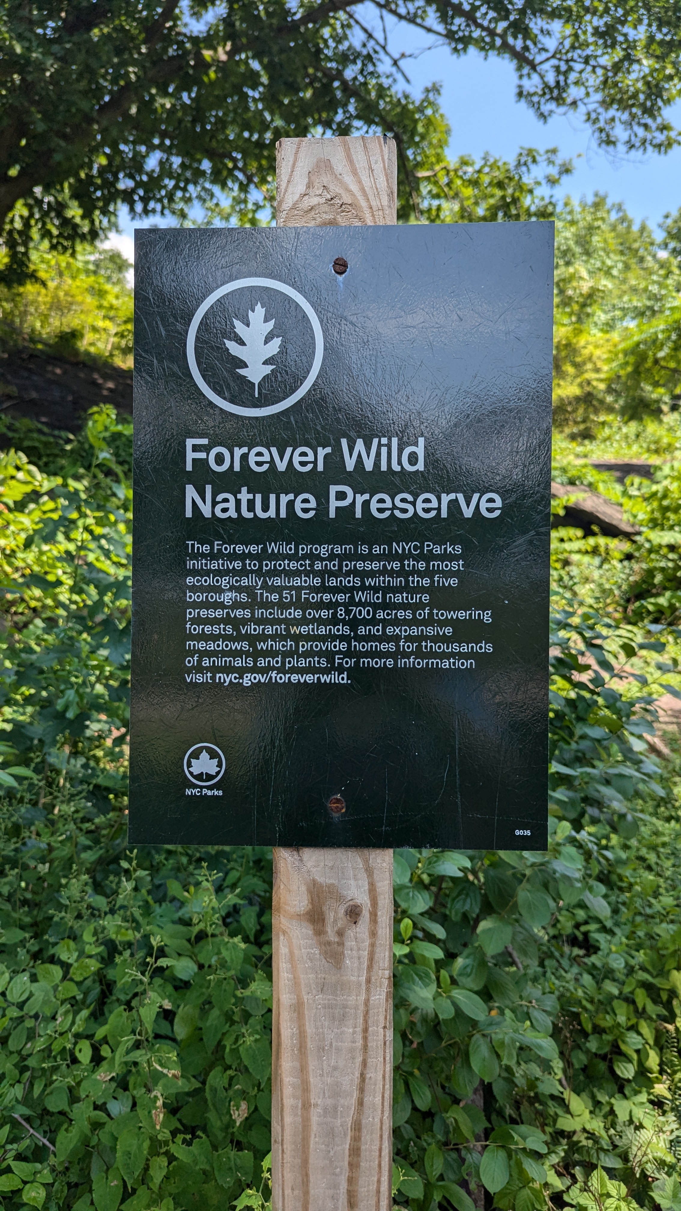 Forever Wild Nature Preserve
