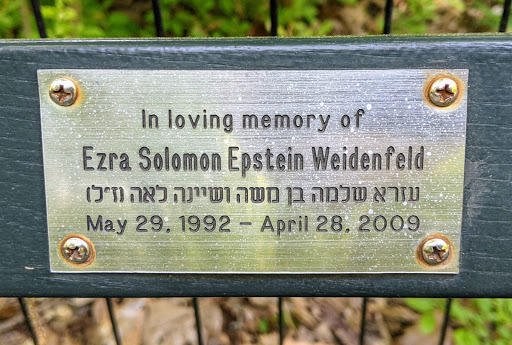 Ezra Solomon Epstein Weidenfeld