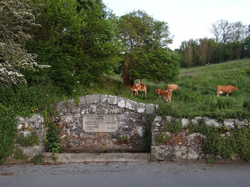 Cattle near roadside drinking trough at Castel