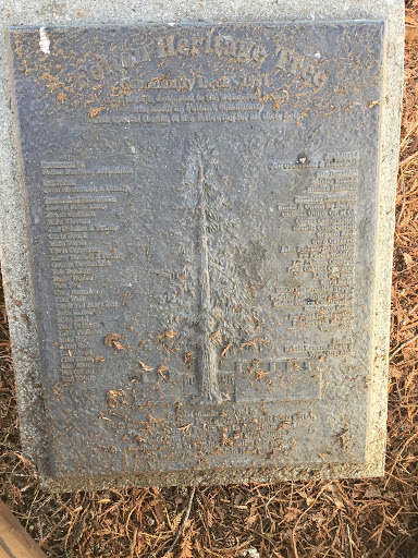 Felton Heritage Tree