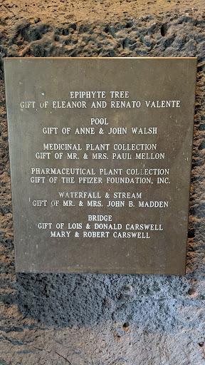 Epiphyte Tree, Pool, Medicinal Plant Collection