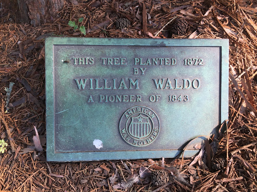 THIS TREE PLANTED 1872
