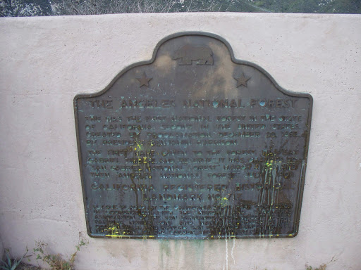CHL# 717 THE ANGELES NATIONAL FOREST