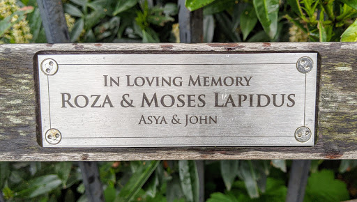 Roza & Moses Lapidus