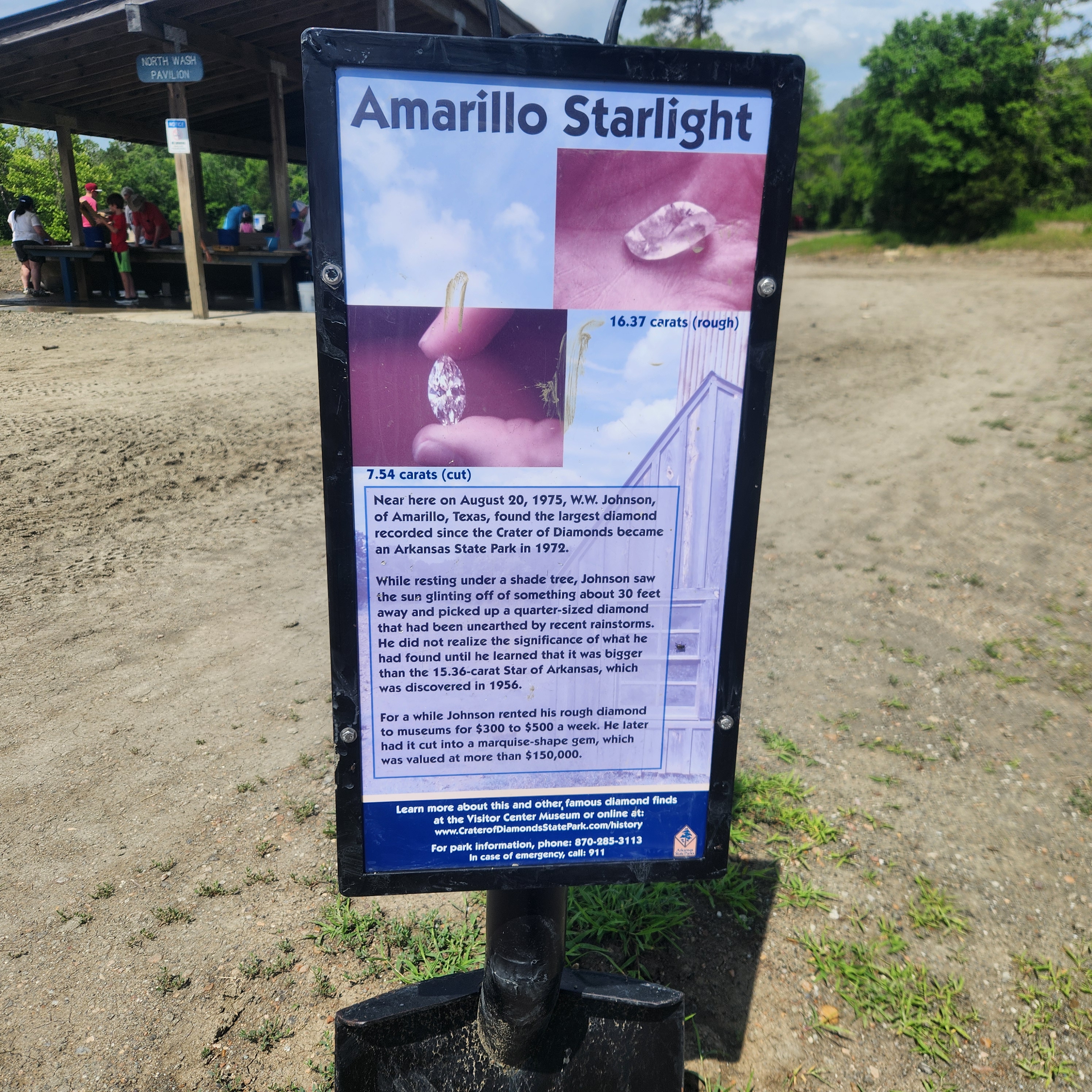 Amarillo Starlight