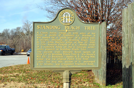 Standing Peach Tree