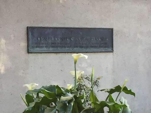 Dedicated to John Le Conte & Joseph Le Conte