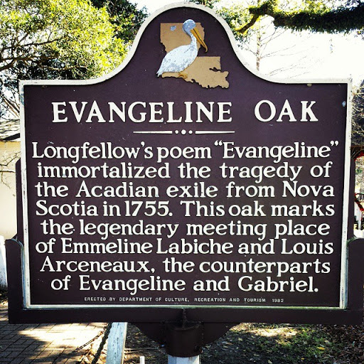 Evangeline Oak