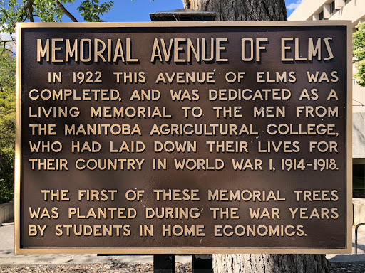 Memorial Avenue of Elms