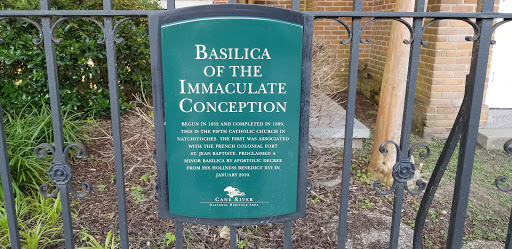 Basilica of the Immaculate Conception