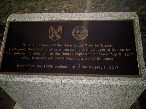 Nova Scotia Tree for Boston