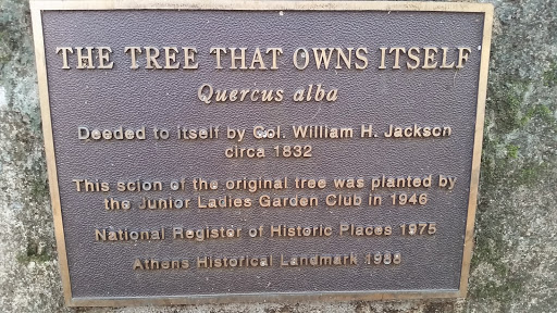 The Tree That Owns Itself