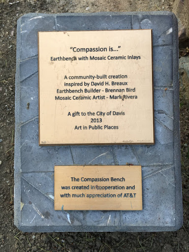 The Compassion Bench