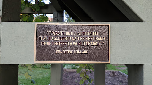 Ernestine Feinland