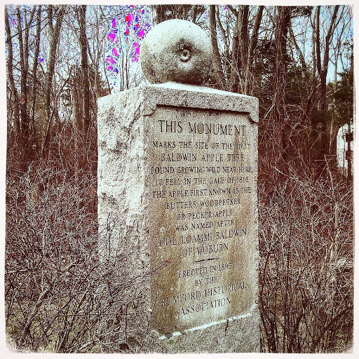 Baldwin Apple Monument