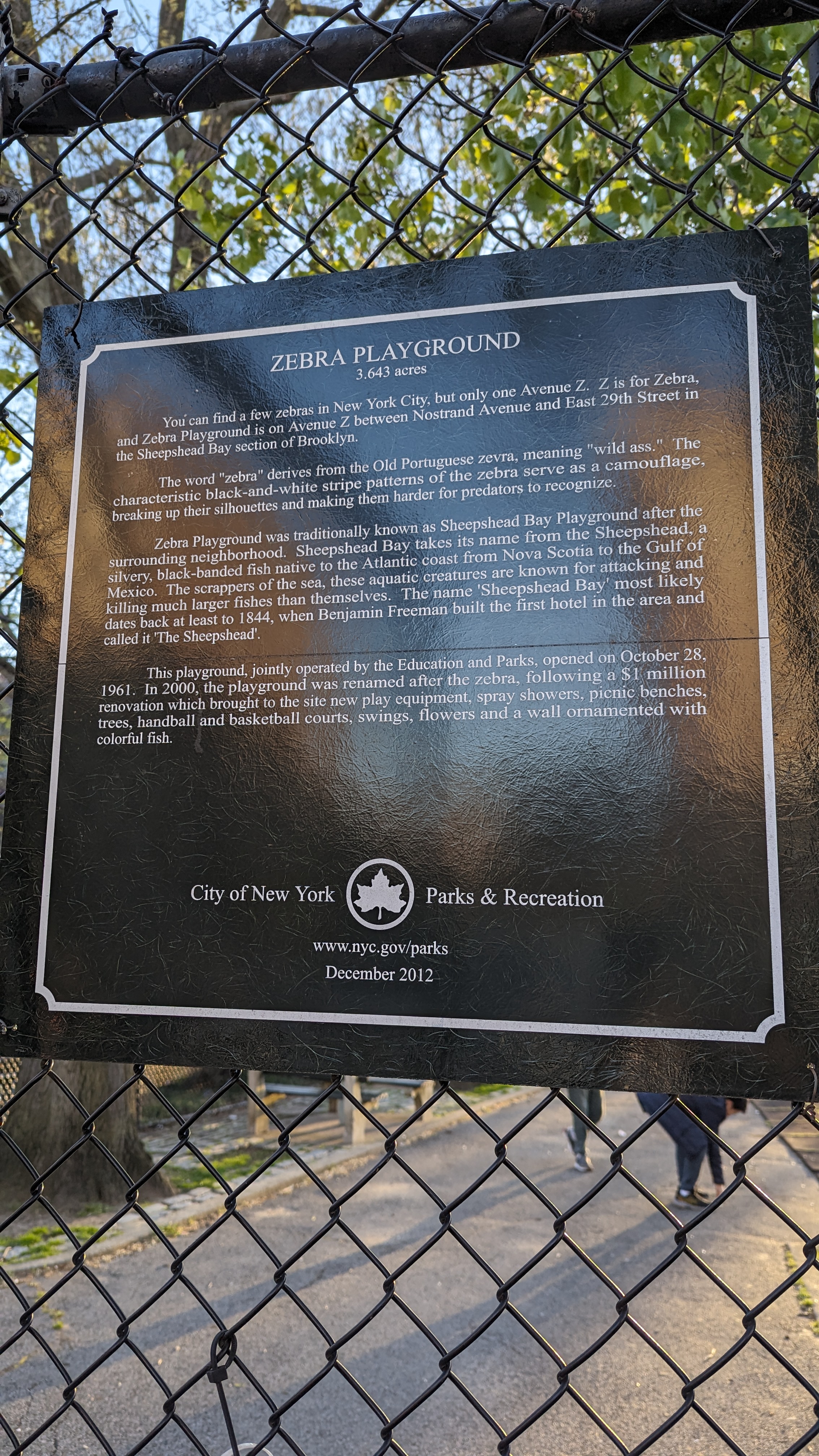 Zebra Playground