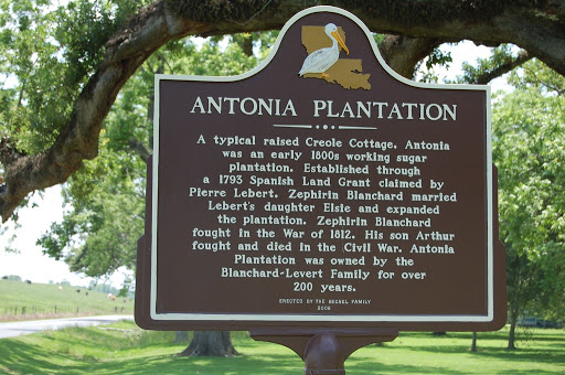 Antonia Plantation