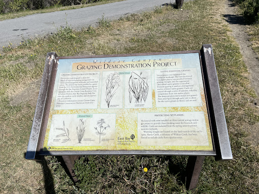 Grazing Demonstration Project