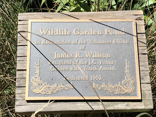 Wildlife Garden Pond
