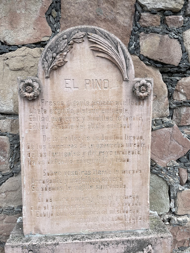 El Pino
