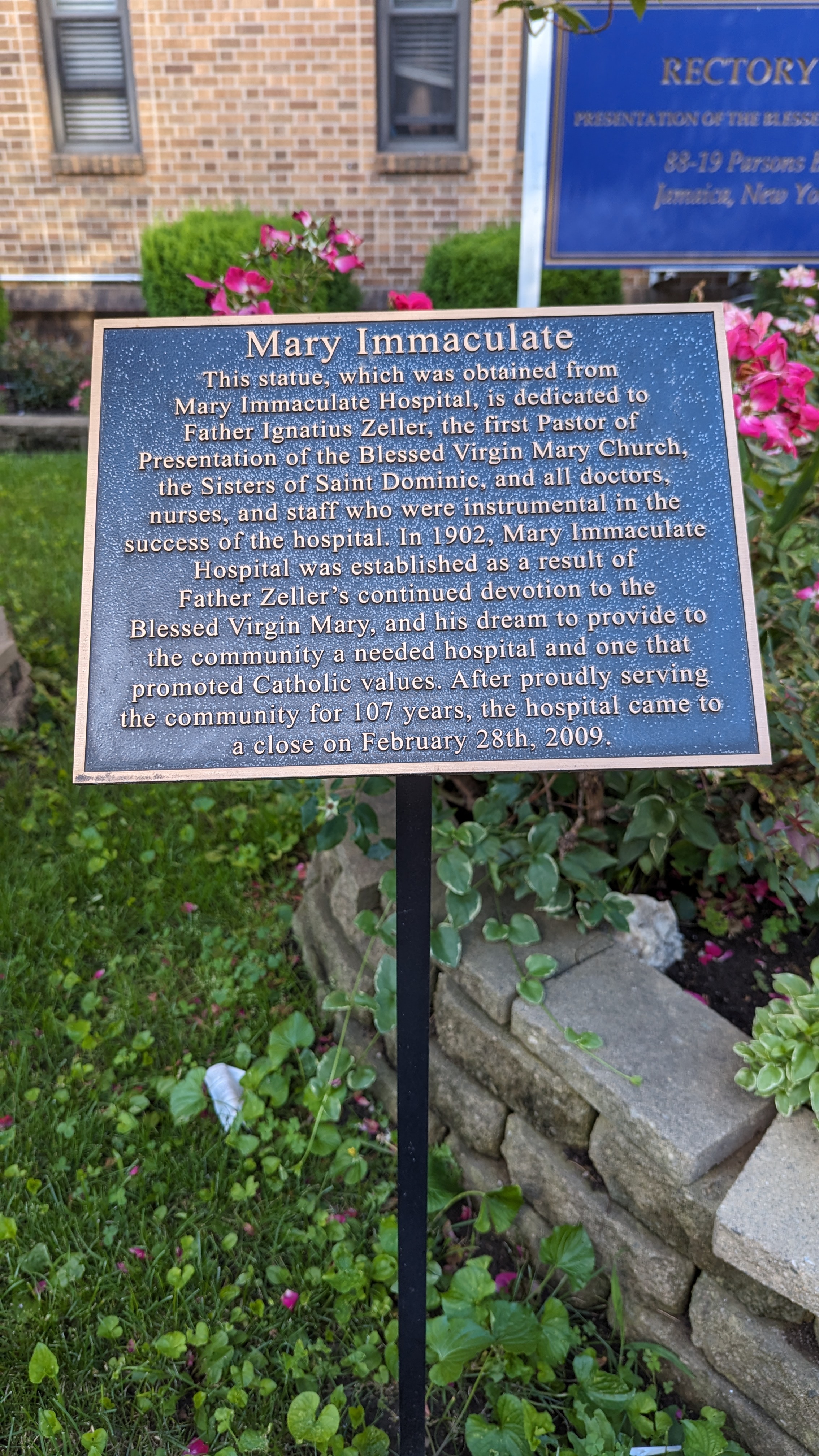 Mary Immaculate