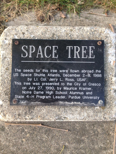 Space Tree