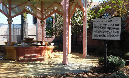 Electro Chalybeate Well