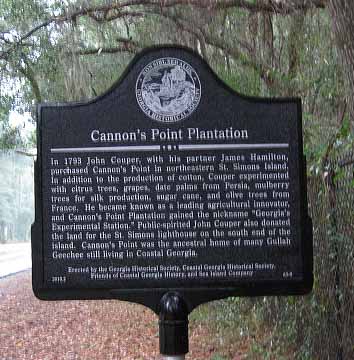 Cannon's Point Plantation