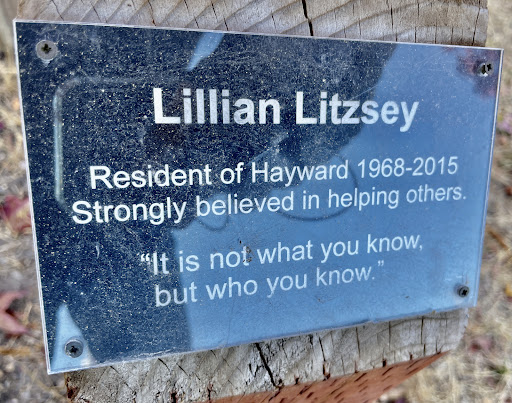 Lillian Litzsey