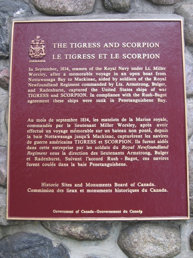 The Tigress and Scorpion